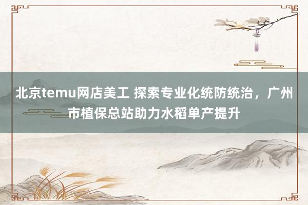 北京temu网店美工 探索专业化统防统治，广州市植保总站助力水稻单产提升