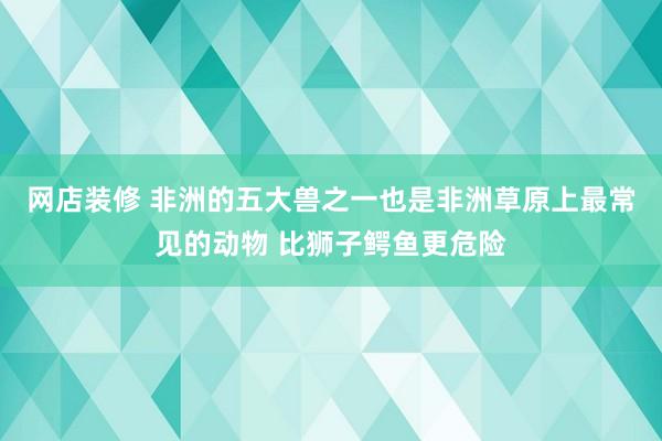 网店装修 非洲的五大兽之一也是非洲草原上最常见的动物 比狮子鳄鱼更危险