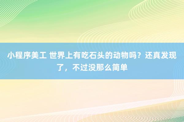 小程序美工 世界上有吃石头的动物吗？还真发现了，不过没那么简单