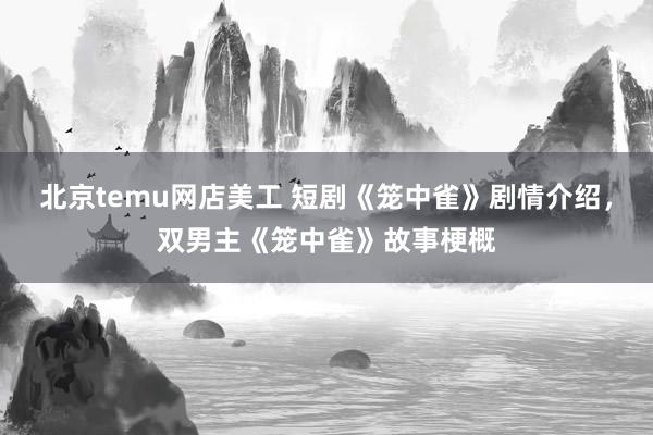 北京temu网店美工 短剧《笼中雀》剧情介绍，双男主《笼中雀》故事梗概