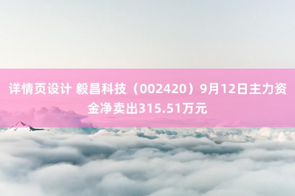 详情页设计 毅昌科技（002420）9月12日主力资金净卖出315.51万元